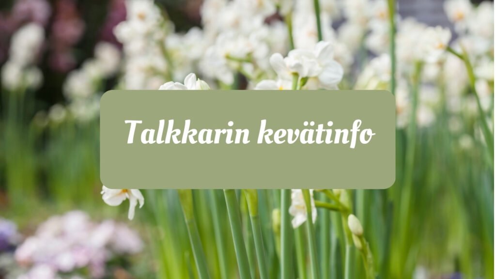 Talkkarin kevätinfo